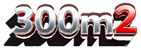 300m2 logo